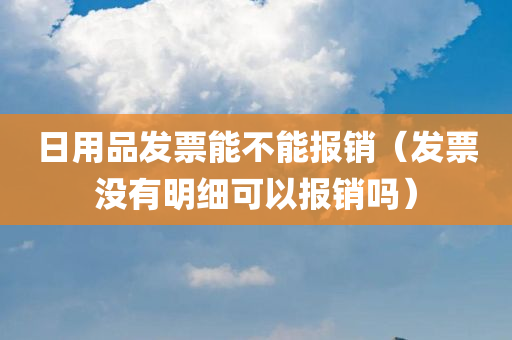 日用品发票能不能报销（发票没有明细可以报销吗）