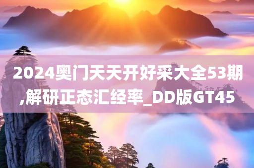 2024奥门天天开好采大全53期,解研正态汇经率_DD版GT45