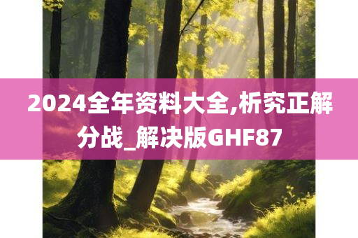 2024全年资料大全,析究正解分战_解决版GHF87