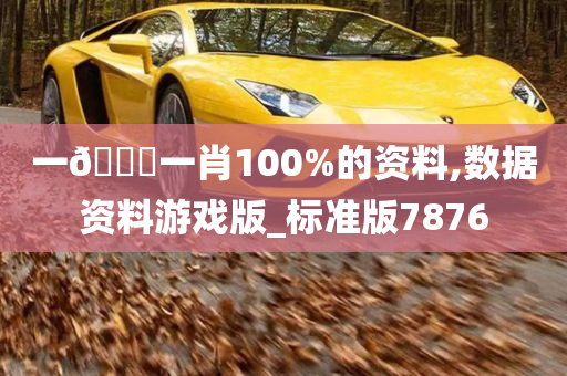 一🐎一肖100%的资料,数据资料游戏版_标准版7876