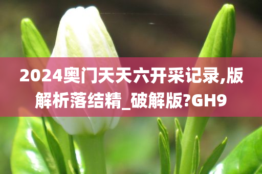 2024奥门天天六开采记录,版解析落结精_破解版?GH9