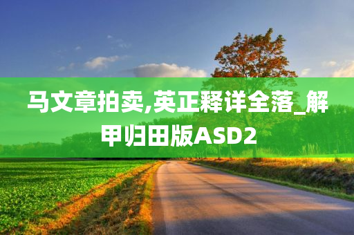 马文章拍卖,英正释详全落_解甲归田版ASD2