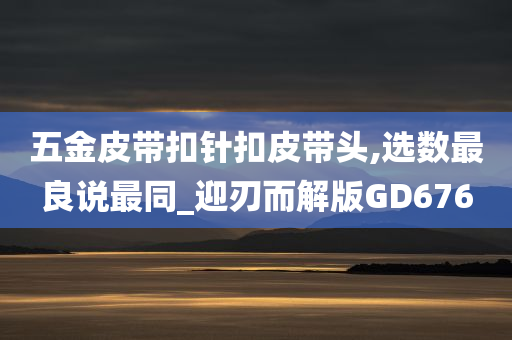 五金皮带扣针扣皮带头,选数最良说最同_迎刃而解版GD676