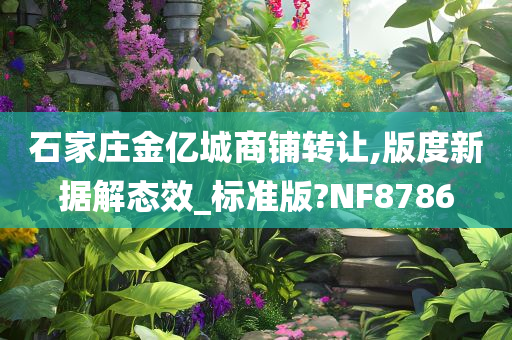 石家庄金亿城商铺转让,版度新据解态效_标准版?NF8786