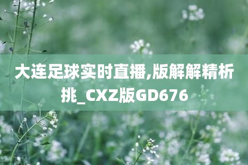 大连足球实时直播,版解解精析挑_CXZ版GD676