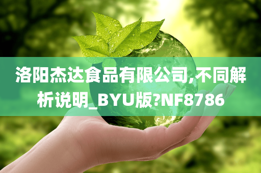 洛阳杰达食品有限公司,不同解析说明_BYU版?NF8786