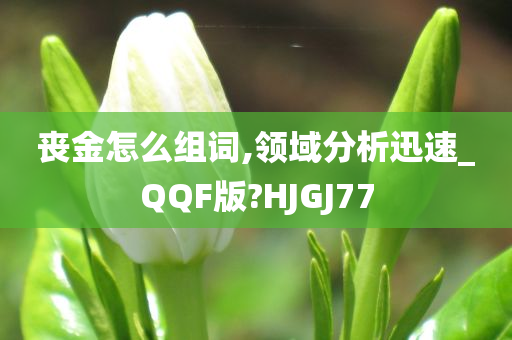 丧金怎么组词,领域分析迅速_QQF版?HJGJ77