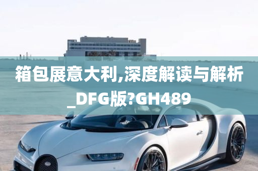 箱包展意大利,深度解读与解析_DFG版?GH489