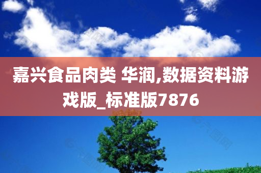 嘉兴食品肉类 华润,数据资料游戏版_标准版7876