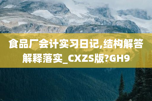 食品厂会计实习日记,结构解答解释落实_CXZS版?GH9