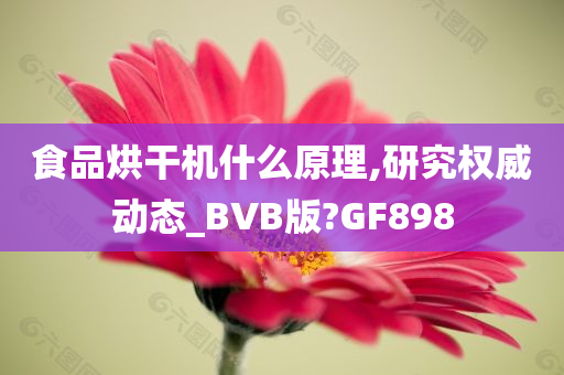 食品烘干机什么原理,研究权威动态_BVB版?GF898