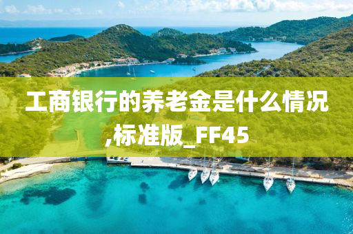 工商银行的养老金是什么情况,标准版_FF45