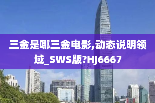 三金是哪三金电影,动态说明领域_SWS版?HJ6667