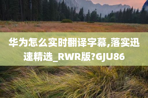 华为怎么实时翻译字幕,落实迅速精选_RWR版?GJU86