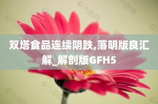 双塔食品连续阴跌,落明版良汇解_解剖版GFH5