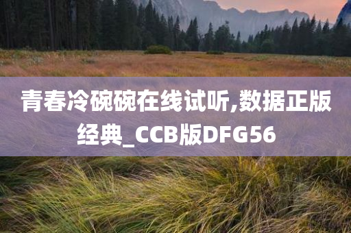 青春冷碗碗在线试听,数据正版经典_CCB版DFG56