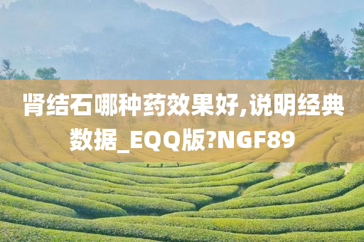 肾结石哪种药效果好,说明经典数据_EQQ版?NGF89