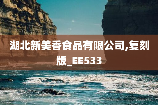 湖北新美香食品有限公司,复刻版_EE533