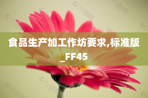 食品生产加工作坊要求,标准版_FF45