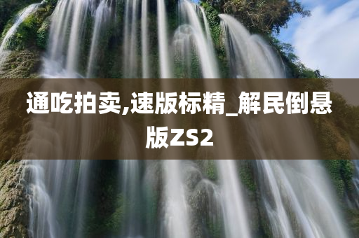 通吃拍卖,速版标精_解民倒悬版ZS2