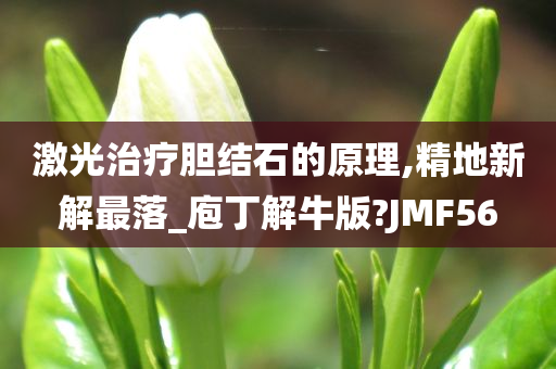 激光治疗胆结石的原理,精地新解最落_庖丁解牛版?JMF56