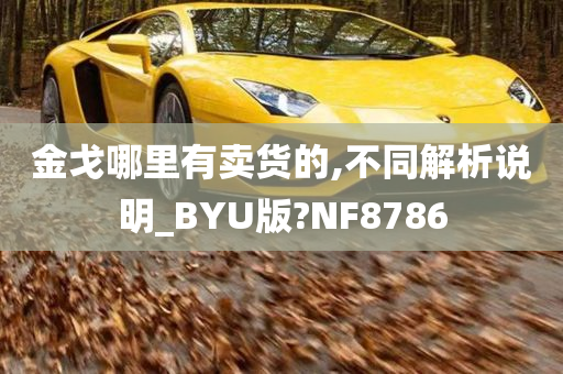 金戈哪里有卖货的,不同解析说明_BYU版?NF8786