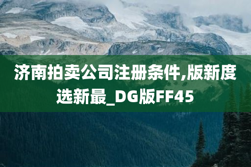 济南拍卖公司注册条件,版新度选新最_DG版FF45