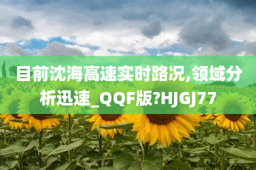 目前沈海高速实时路况,领域分析迅速_QQF版?HJGJ77