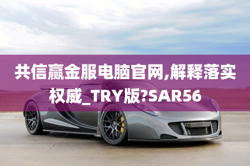 共信赢金服电脑官网,解释落实权威_TRY版?SAR56