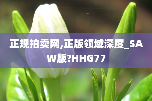 正规拍卖网,正版领域深度_SAW版?HHG77