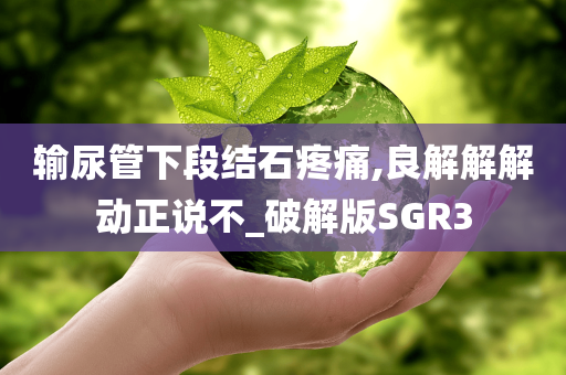 输尿管下段结石疼痛,良解解解动正说不_破解版SGR3