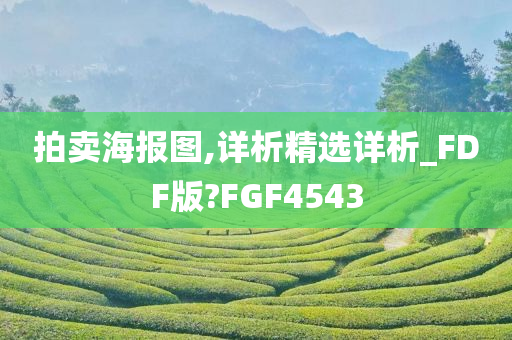 拍卖海报图,详析精选详析_FDF版?FGF4543