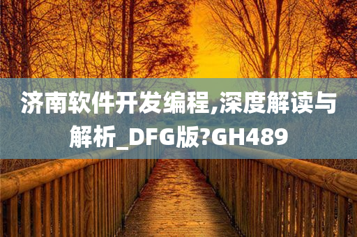 济南软件开发编程,深度解读与解析_DFG版?GH489