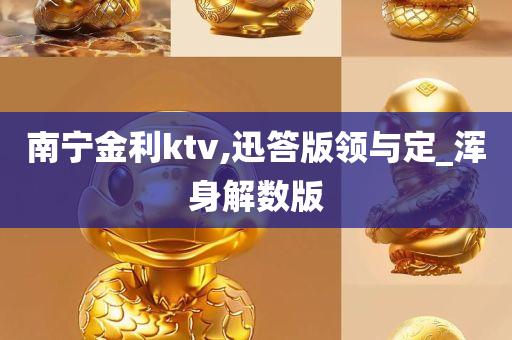 南宁金利ktv,迅答版领与定_浑身解数版