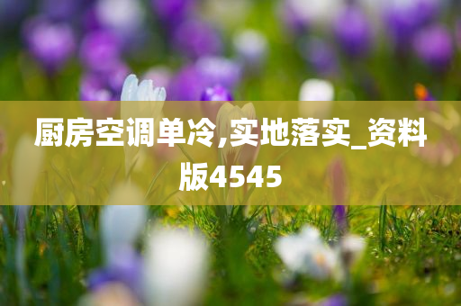 厨房空调单冷,实地落实_资料版4545