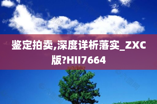 鉴定拍卖,深度详析落实_ZXC版?HII7664