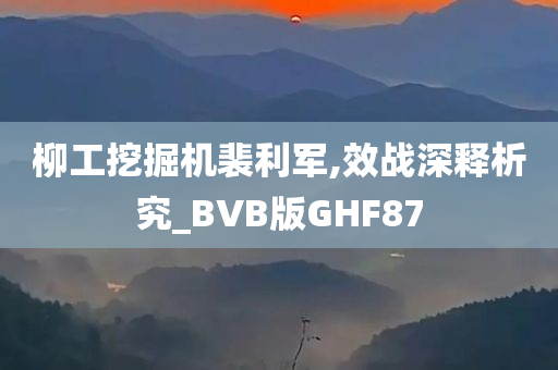 柳工挖掘机裴利军,效战深释析究_BVB版GHF87