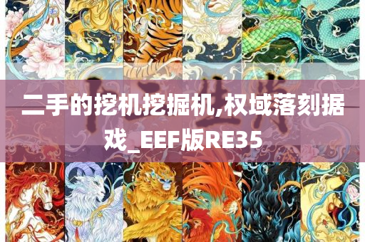 二手的挖机挖掘机,权域落刻据戏_EEF版RE35