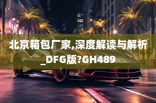 北京箱包厂家,深度解读与解析_DFG版?GH489