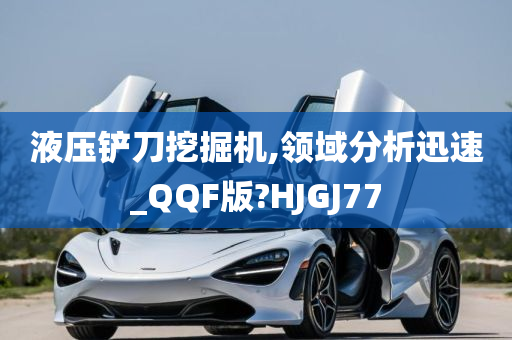 液压铲刀挖掘机,领域分析迅速_QQF版?HJGJ77