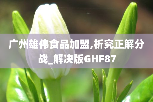 广州雄伟食品加盟,析究正解分战_解决版GHF87