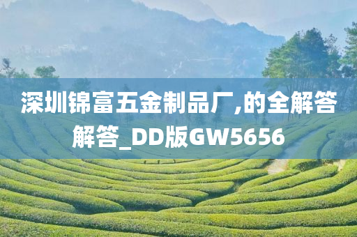 深圳锦富五金制品厂,的全解答解答_DD版GW5656