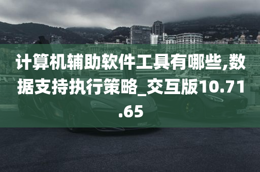 计算机辅助软件工具有哪些,数据支持执行策略_交互版10.71.65