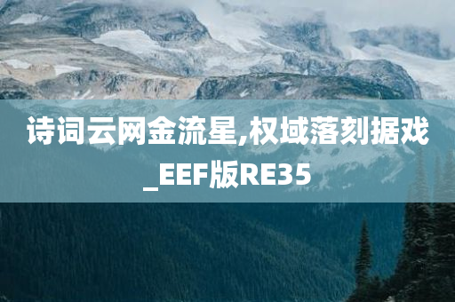 诗词云网金流星,权域落刻据戏_EEF版RE35