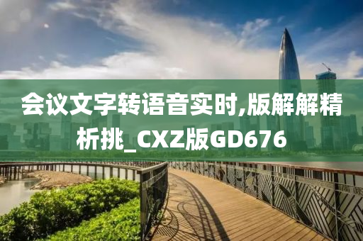 会议文字转语音实时,版解解精析挑_CXZ版GD676