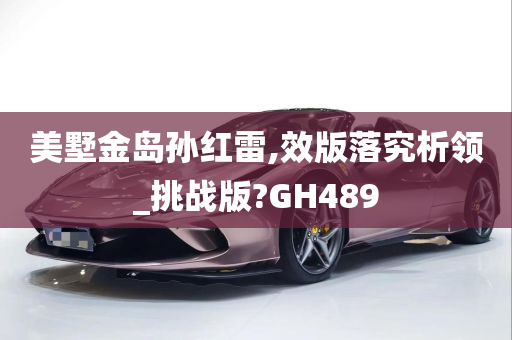 美墅金岛孙红雷,效版落究析领_挑战版?GH489