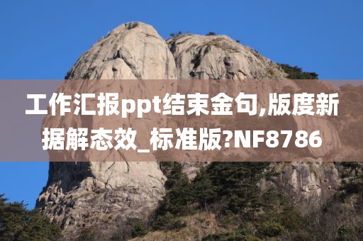 工作汇报ppt结束金句,版度新据解态效_标准版?NF8786