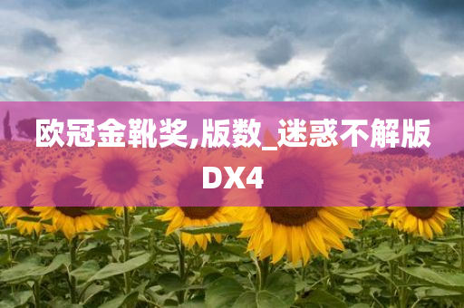 欧冠金靴奖,版数_迷惑不解版DX4