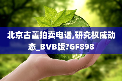 北京古董拍卖电话,研究权威动态_BVB版?GF898