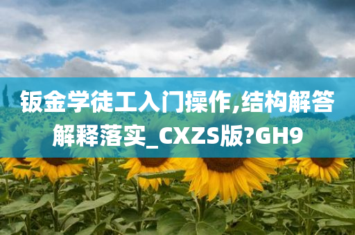 钣金学徒工入门操作,结构解答解释落实_CXZS版?GH9